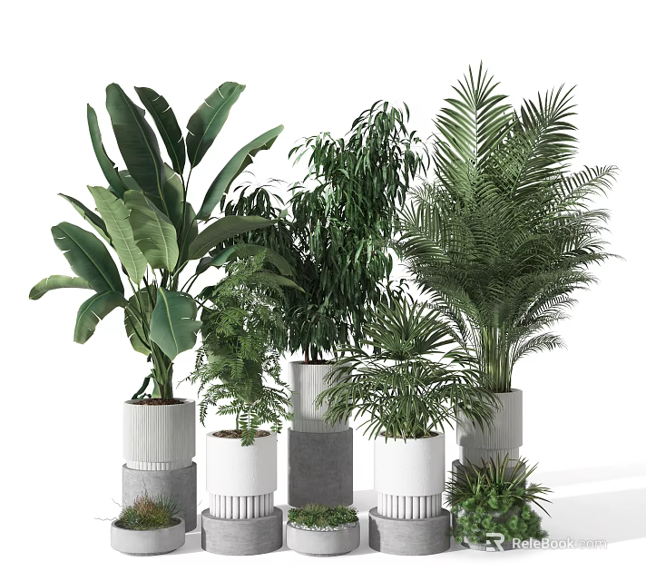 Various Green Leafy Potted Plants In Decorative White And Gray Pots For Indoor Decoration 3d model 