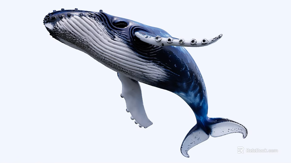 Blue And White Humpback Whale Leaping With Extended Flippers And Tail 3d model 