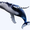 Blue And White Humpback Whale Leaping With Extended Flippers And Tail 3d model