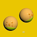 Cute Spherical Dolls With Yellow Green Design And Smooth Surface 3d model