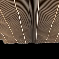 Modern Ceiling With Wavy Line Design And Lighting