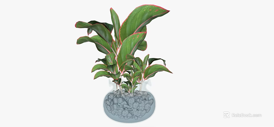 Bonsai Plant With Green Leaves Red Edges In Transparent Pot Gray Stones 3d model 