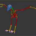 Anatomical Bird Skeleton 3D Model Medical Device for Educational and Research Use 3d model