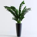 Lush Green Bonsai Potted Plants in Gray Square Pot with White Pebbles and Black Planter