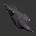 Modern crow crow bird bird 3d model