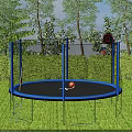 Outdoor Trampoline With Blue Frame Black Mat Ladder Orange Ball Basketball Hoop On Green Lawn