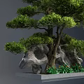 Lush Arbor Bonsai Display With Rocks Green Foliage And Decorative Base