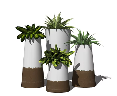 Elegant Bonsai Plants In White Brown Conical Planters With Fresh Green Leaves 3d model