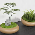 moss bonsai plant ornaments modern landscape tree pool seat flower pool pebble tree pool stone head tree pool landscape sketch modern landscape pedestal tree pool flower pool 3d model
