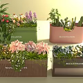 Vibrant Flower And Plant Collection In Colorful Pots With Succulents And Blooms