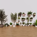 Different Flower Vases With Various Green Plants Wall Mounted And Floor Placed 3d model