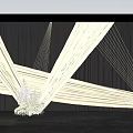 Artistic Floral Art Installation With White Flowers Geometric Drapery And Black Backdrop