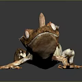 Lizard Anime Lizard Cartoon Lizard Reptile Cold Blooded Animal Reptile 3d model