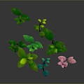 Water plants, various water plants, animals, realistic animals 3d model