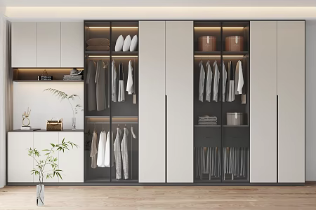 Modern wardrobe combination 3d model