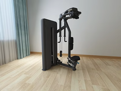 Multi Functional Home Gym Equipment In Indoor Setting With Wooden Floor And Window 3d model