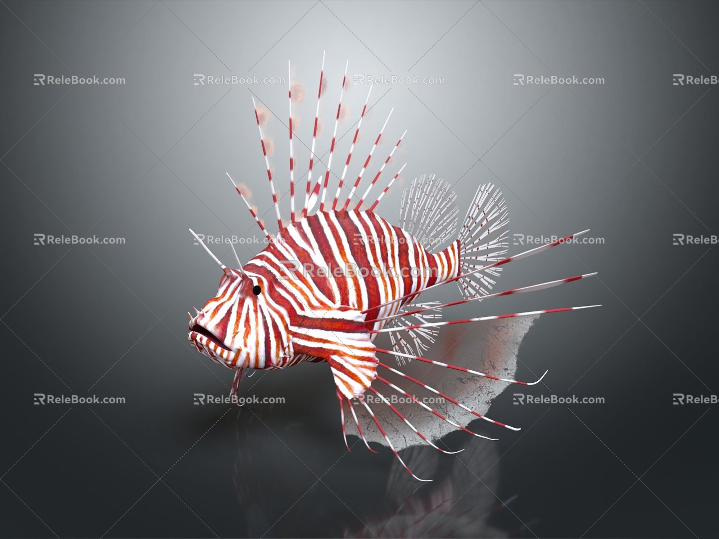 Modern lionfish lion fish lionfish marine fish 3d model