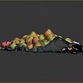Vibrant Mixed Fruits Arranged in Colorful Rows on Display Tray
