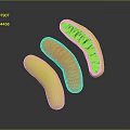 Three Vibrant Orange Curved Tubular Structures With Internal Ribbed Design Arranged In Flowing Form