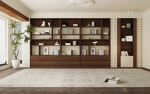 Middle Style Bookcase 3d model