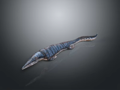 Realistic Long Snouted Striped Reptile Model With Blue Black Body On Dark Background 3d model