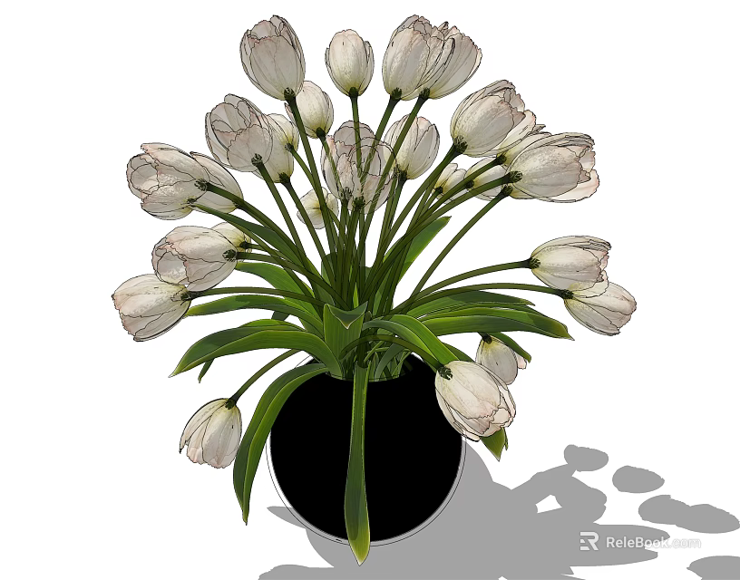 Potted White Tulips Arrangement With Black Vase And Green Leaves For Indoor Decoration 3d model 