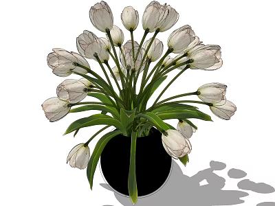 Potted White Tulips Arrangement With Black Vase And Green Leaves For Indoor Decoration 3d model
