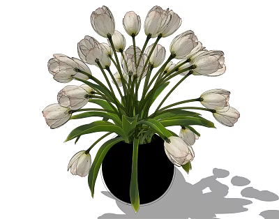 Potted White Tulips Arrangement With Black Vase And Green Leaves For Indoor Decoration 3d model