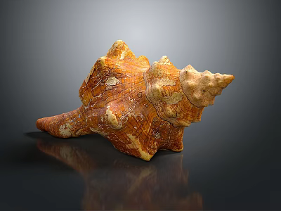 Ornate Conch Shell Sculpture With Natural Texture And Detailed Carving 3d model