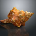 Ornate Conch Shell Sculpture With Natural Texture And Detailed Carving