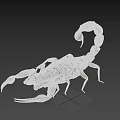 Detailed Realistic Scorpion On Black Background With Curled Tail And Sharp Pincers