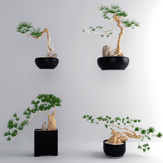 Modern Bonsai Pohansong Bonsai Combination 3d model