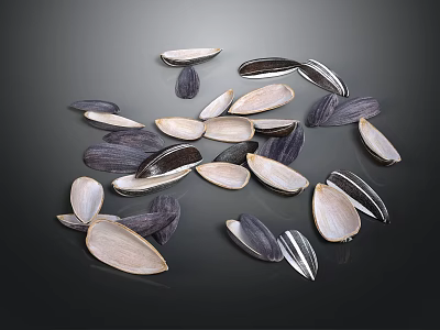 Scattered Sunflower Seeds On Black Background With Natural Texture And Arrangement 3d model