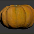 Fresh Bright Orange Round Pumpkin with Smooth Texture for Healthy Autumn Recipes