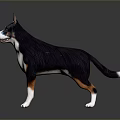 Detailed 3D Character Model of Black White Brown Dog Standing on Dark Reflective Surface