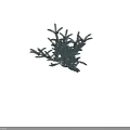 Lush Silver Green Shrub with Dense Branches and Vibrant Foliage in Natural Form