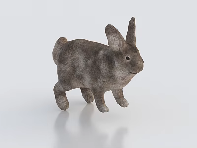 Realistic Gray Reptile Model with White Background 3D Rendering 3d model