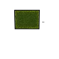 Green Moss Wall Decorative Ornament Set With Black Frame Design 3d model