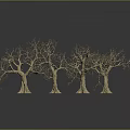 Four Leafless Trees With Thick Trunks And Slender Branches On Gray Gradient Background With Reflections