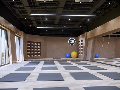 Spacious 24H Fitness Space Featuring Gray Yoga Mats Wooden Walls Blue Yellow Fitness Balls Hanging Ropes 3d model