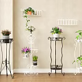 Indoor Decorative Plant Stands in Black and White with Curved Tiered Designs and Potted Plants