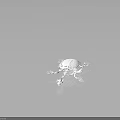 White Turtle Like Anatomical Organ And Hair Structure With Spiky Hair Projections
