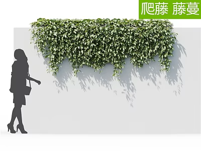 Modern Vine Wall 3d model