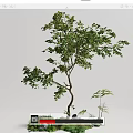 arbor landscape tree 3d model