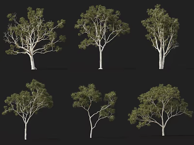 Various Arbor Varieties With Diverse Branch Structures And Foliage Shapes 3d model