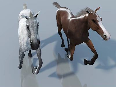 Two Different Colored Reptiles Running On Smooth Reflective Surface 3d model