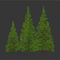 Multiple Green Pine Trees In 3D Model With Gray Background