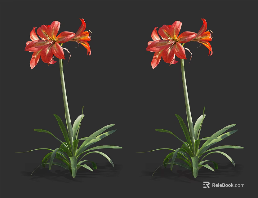 Vibrant Red Flowers With Green Leaves And Long Stems On Black Background 3d model 