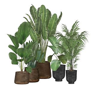 Modern Potted Plant Green Plant Bonsai Plant Green Plant Ornaments 3d model