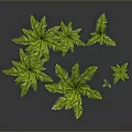 Various Decorative Plants Including Palm Trees Ferns And Small Greenery In Woven Pots